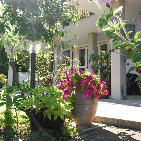 Parte Di Casa Con Giardino E Piscina Pietrasanta