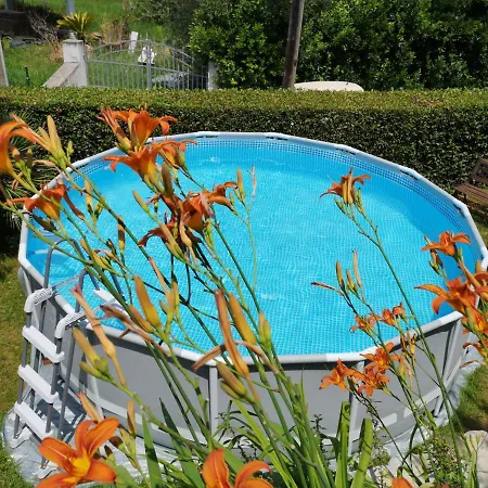 Parte Di Casa Con Giardino E Piscina Pietrasanta